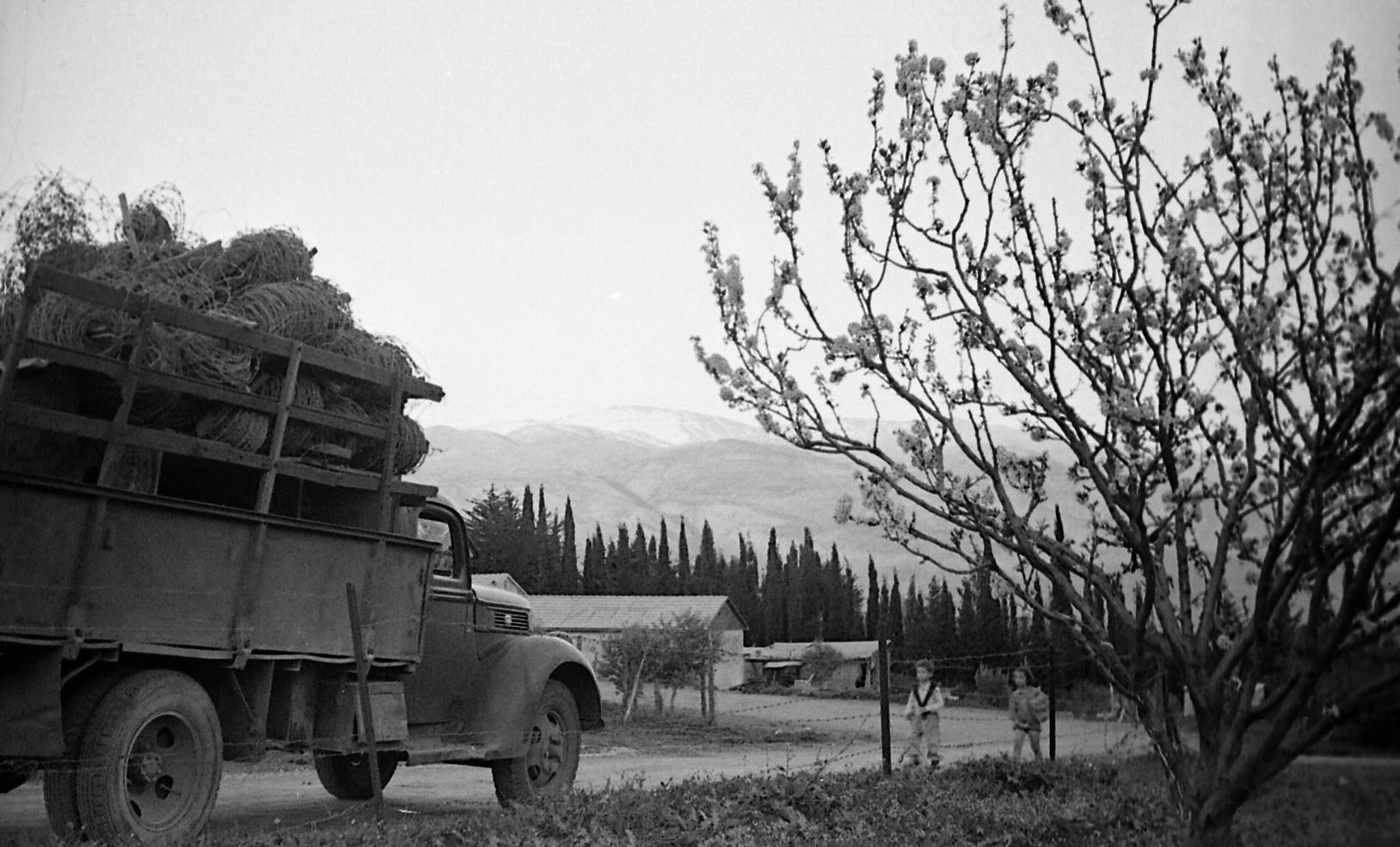 בדרך להקמת קיבוץ מעיין ברוך, מרץ 1947, צלם: נחום טים גידל, אוסף קרן היסוד ((NKH\477373